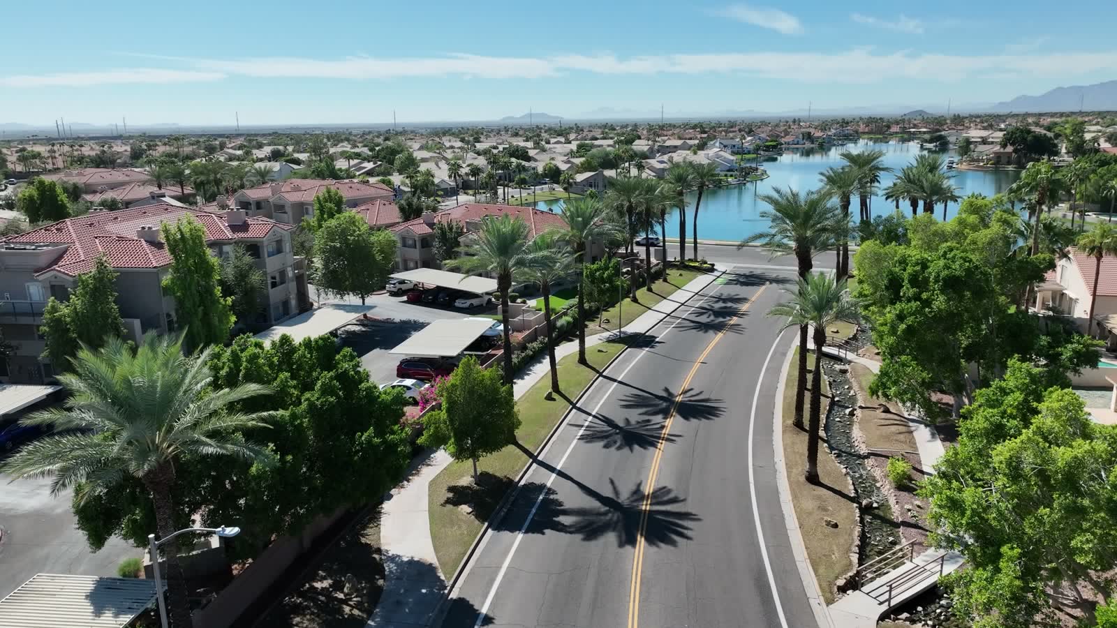 A palm-lined street in Lakewood, with the lake visible beyond